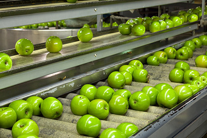 indústria alimentícia - Áreas de Atuação - WOLFER - Automação